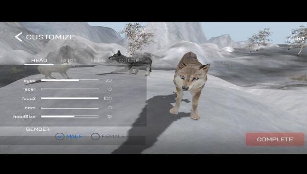 Wolf Online2